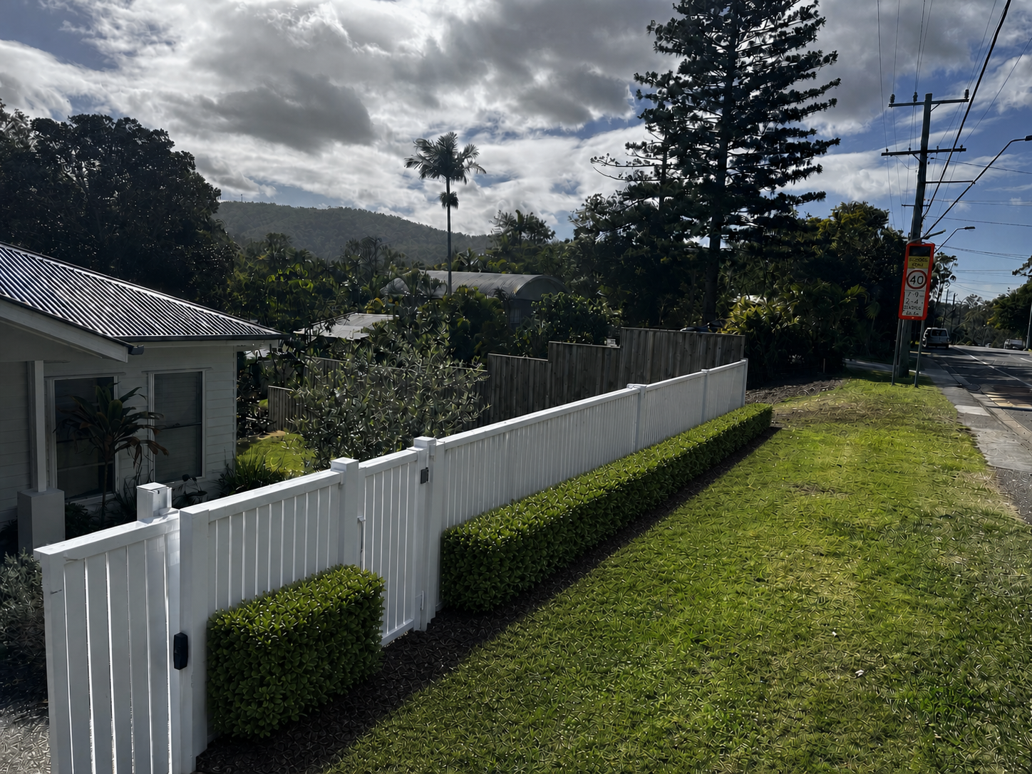 Final low split evergreen hedge on street side of white fence with true pedestrian gate clear